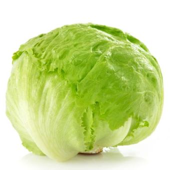 ICEBERG LETTUCE-(9-12 PICS)02